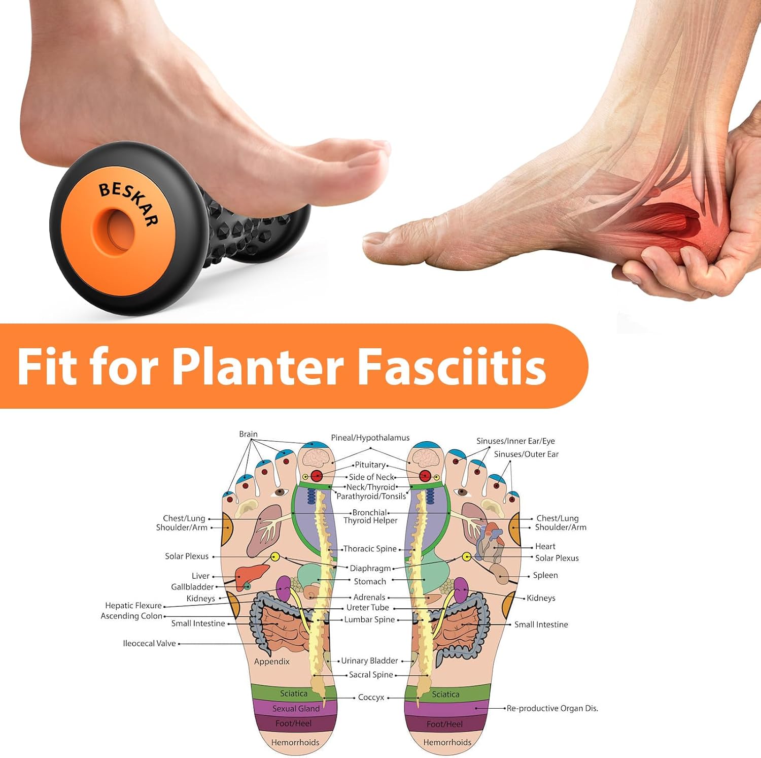Foot Massager Roller for Plantar Fasciitis Relief